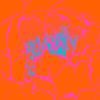 Peony Recolor A #110057