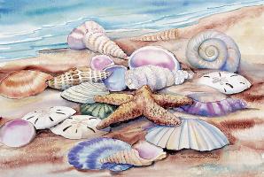 Seashells I #12695
