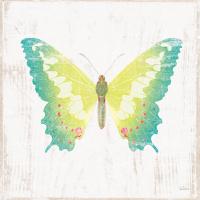 White Barn Butterflies III #31772