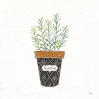 Fine Herbs IX #35001