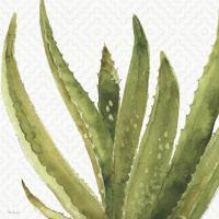 Mixed Greens XXXVIII #36496