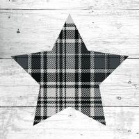 Nordic Holiday XIII Plaid #37366