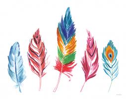 Rainbow Feathers IV #37648