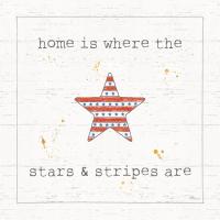 USA Cuties IV Shiplap #38808