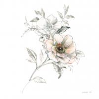 Sketchbook Garden VII #41781
