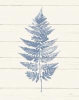Fern Print I Blue Crop #42746