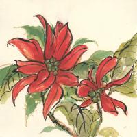Poinsettia II #44519