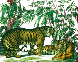 Jungle Flair V #45405