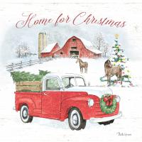 Farmhouse Holidays VII #45573