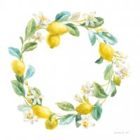 Floursack Lemon V on White #45791