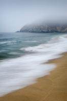 Gray Whale Cove #46107