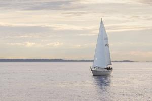 Sailboat in Semiahmoo Bay #46112