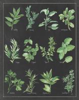 Herb Chart on Black White Border #46176