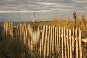 Along the Fence I #46208