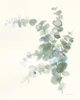 Scented Sprig III Cool #46414