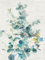 Eucalyptus IV Vintage #46433
