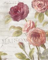 French Roses III #46486