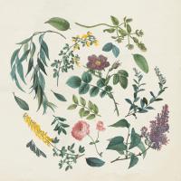 Victorian Garden I #46805