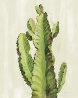 Front Yard Cactus II #47321