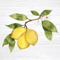 Citrus Garden I Shiplap #47404