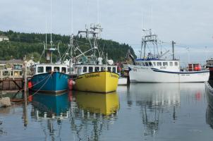 Bay of Fundy II #47838