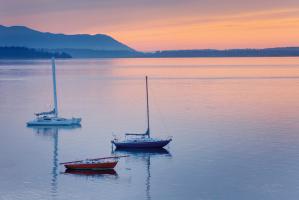 Bellingham Bay #47841