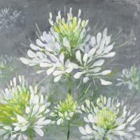 Farmhouse Cleome I #47857