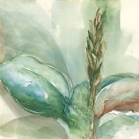 Exotic Flower I #48030