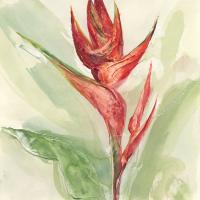Exotic Flower IV #48033