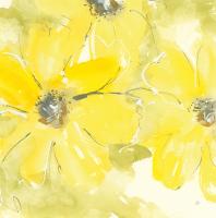 Sunshine Cosmos II #48035