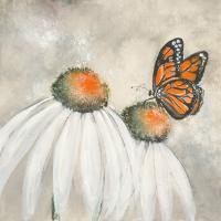 Butterflies are Free I #48036