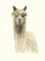 Classic Llamas I #48050