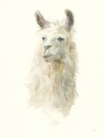 Classic Llamas II #48051