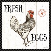 Free Range Fresh IV Checker Border #48174-12x12