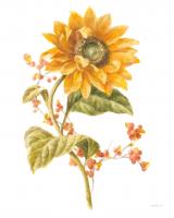 Floursack Autumn I on White #48776