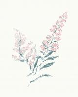 Flowers on White I Contemporary Bright #48800