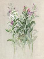 Sprigs of June I #49035