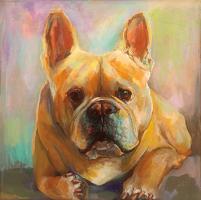 Frenchie #49341