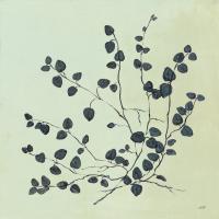Botanical Study VII Sage #49729