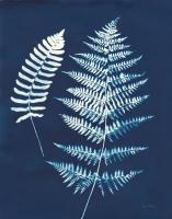 Nature By The Lake - Ferns V Crop #50087
