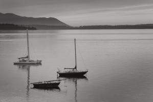 Bellingham Bay BW #50226