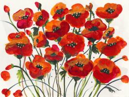 Poppin Up Poppies #50247