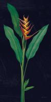 Dramatic Tropical IV #50356