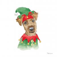 Holiday Paws VII on White #50885