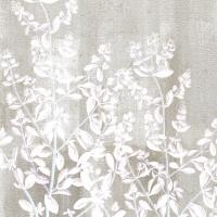 Neutral Botanical Square 1 #50950