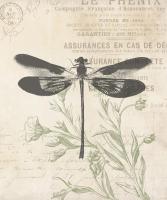 Lightened Vintage Insects #50953