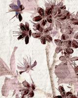 Cherry Blossom Plum 2 #51138