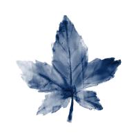 Navy Leaf Print 1 #51334