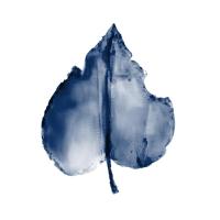 Navy Leaf Print 2 #51335