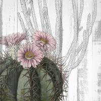Cactus Cowboy 1 #51340
